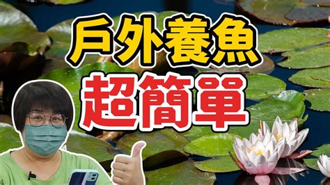 戶外養魚|不用花錢只要做對這件事，就能讓戶外缸 ...